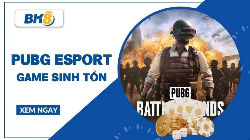PUBG Esport - Khi sinh tồn và chiến thuật quyết định chiến thắng