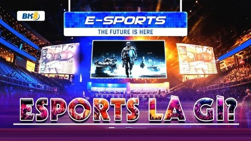 Tổng quan về sảnh Esports